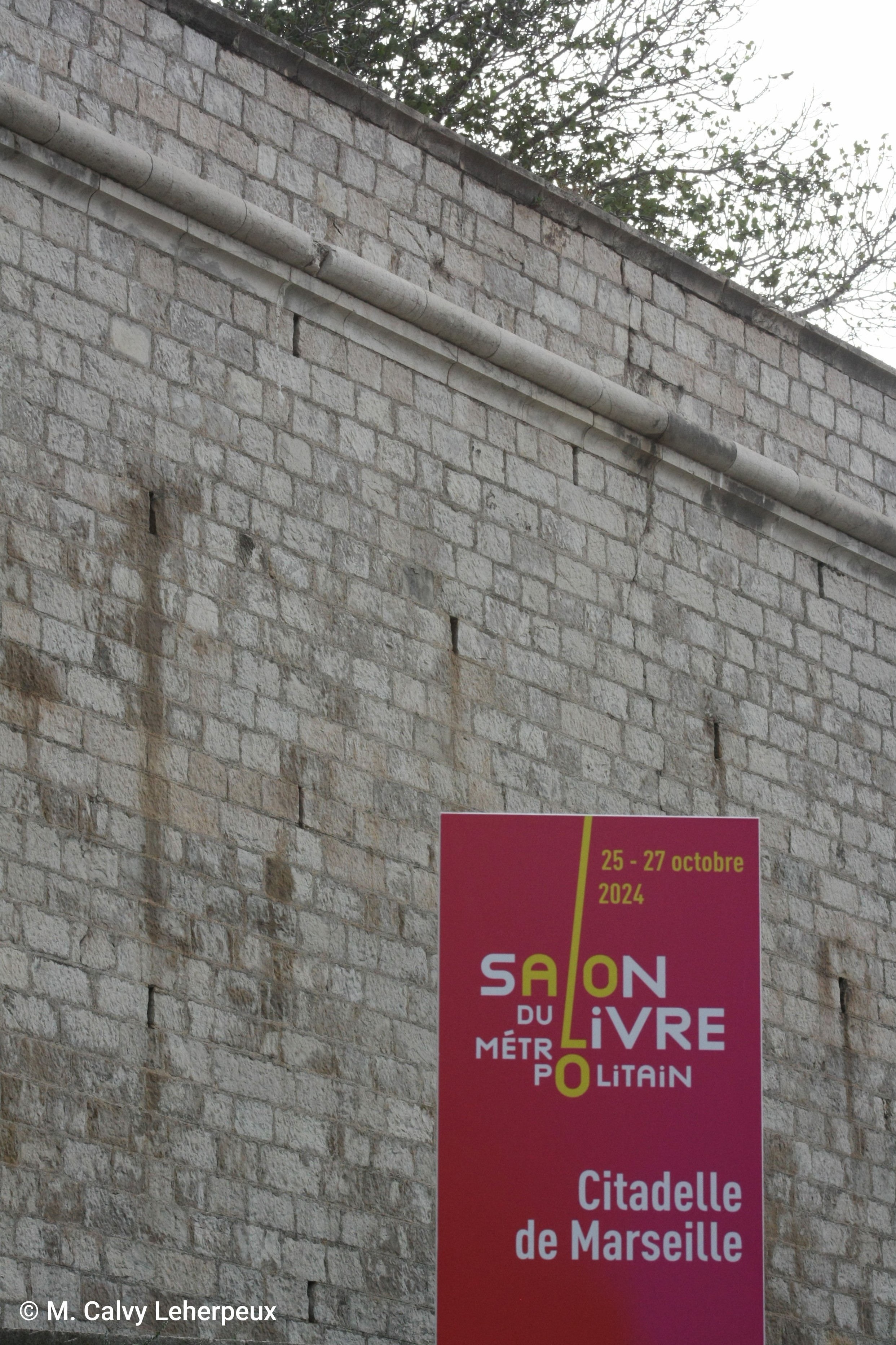 Photo de l'affiche du salon du livre